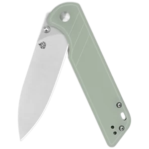 QSP Parrot V2 - Image 5