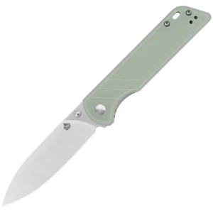 Alternative view of QSP Parrot V2
