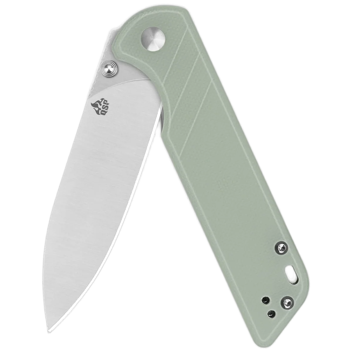 QSP Parrot V2 - Image 3