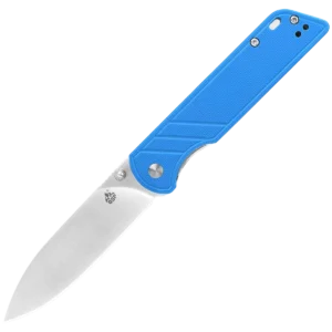 Alternative view of QSP Parrot V2