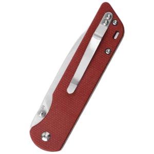 QSP Parrot V2 - Image 3