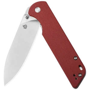 QSP Parrot V2 - Image 5