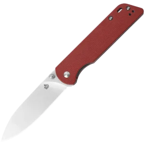 Alternative view of QSP Parrot V2