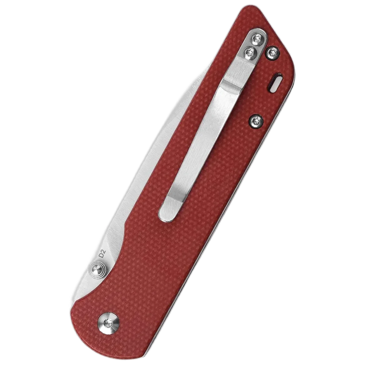 QSP Parrot V2 - Image 2