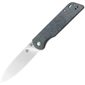 QSP Parrot V2