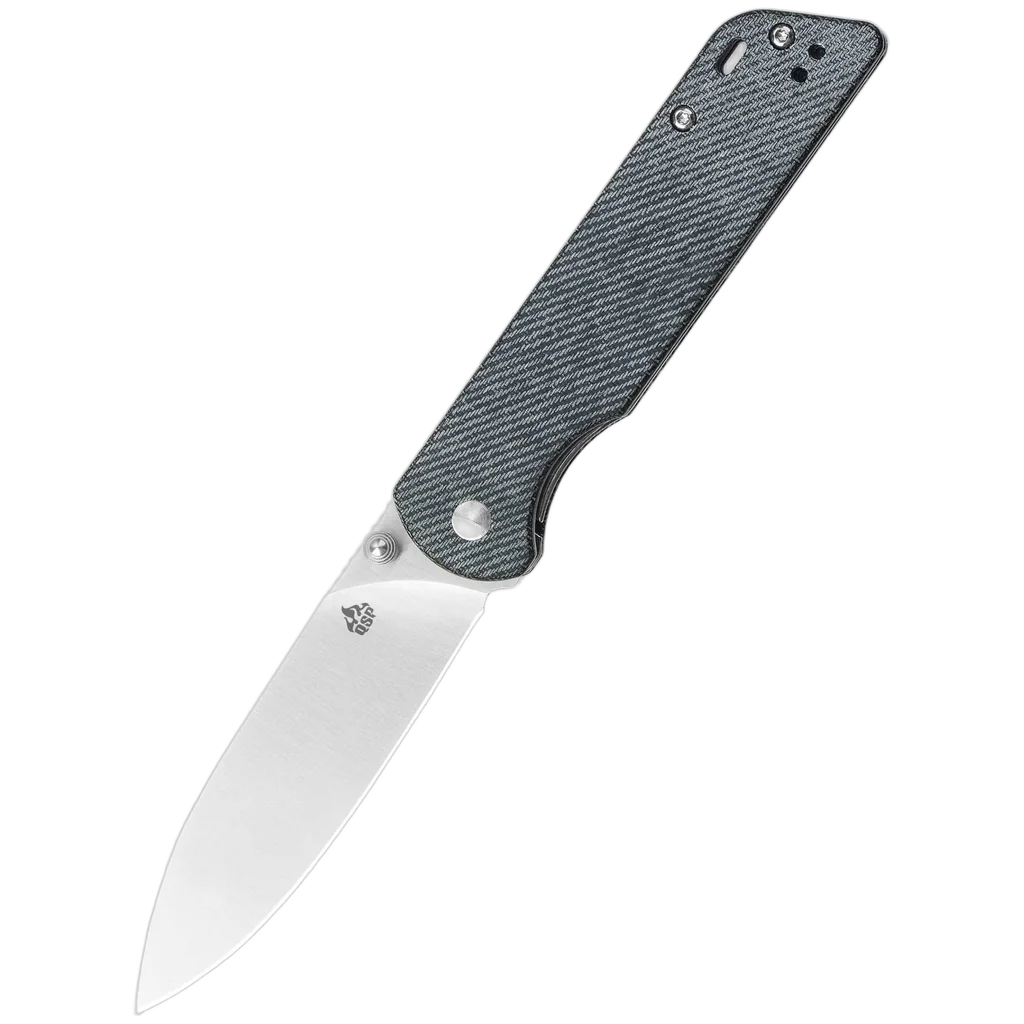 QSP Parrot V2