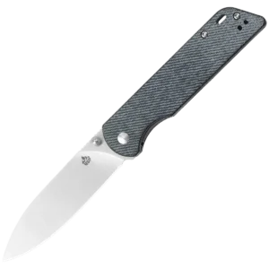 Alternative view of QSP Parrot V2