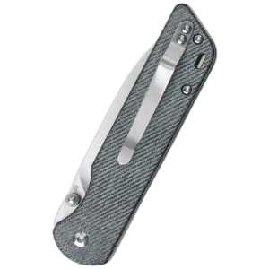 Alternative view of QSP Parrot V2