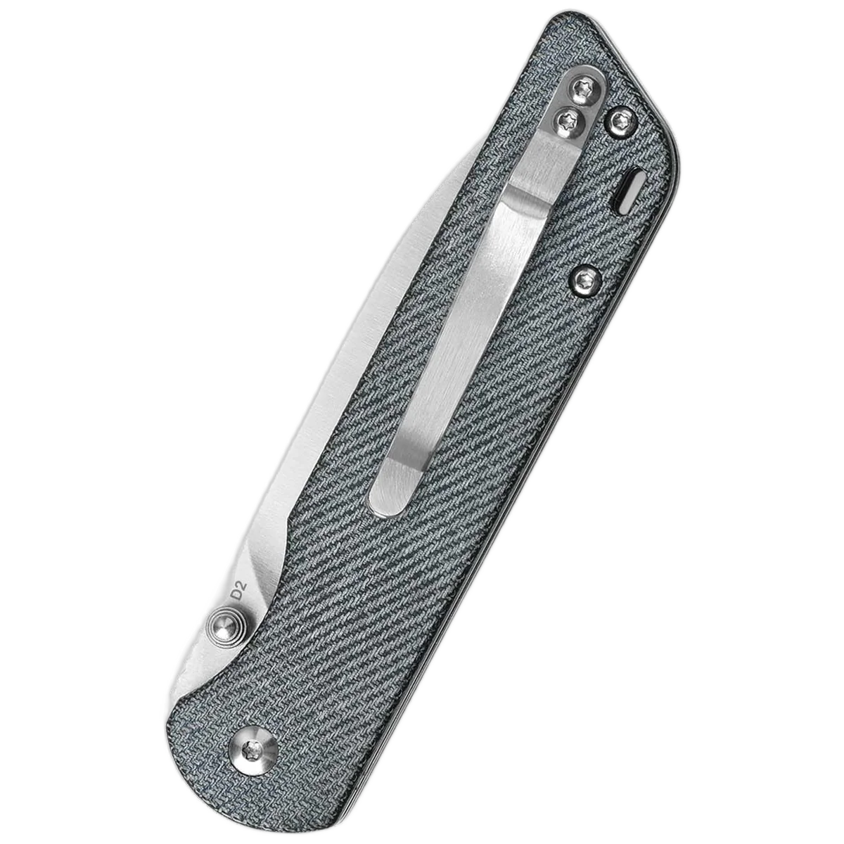 QSP Parrot V2 - Image 2