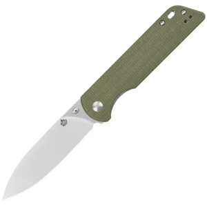 Alternative view of QSP Parrot V2