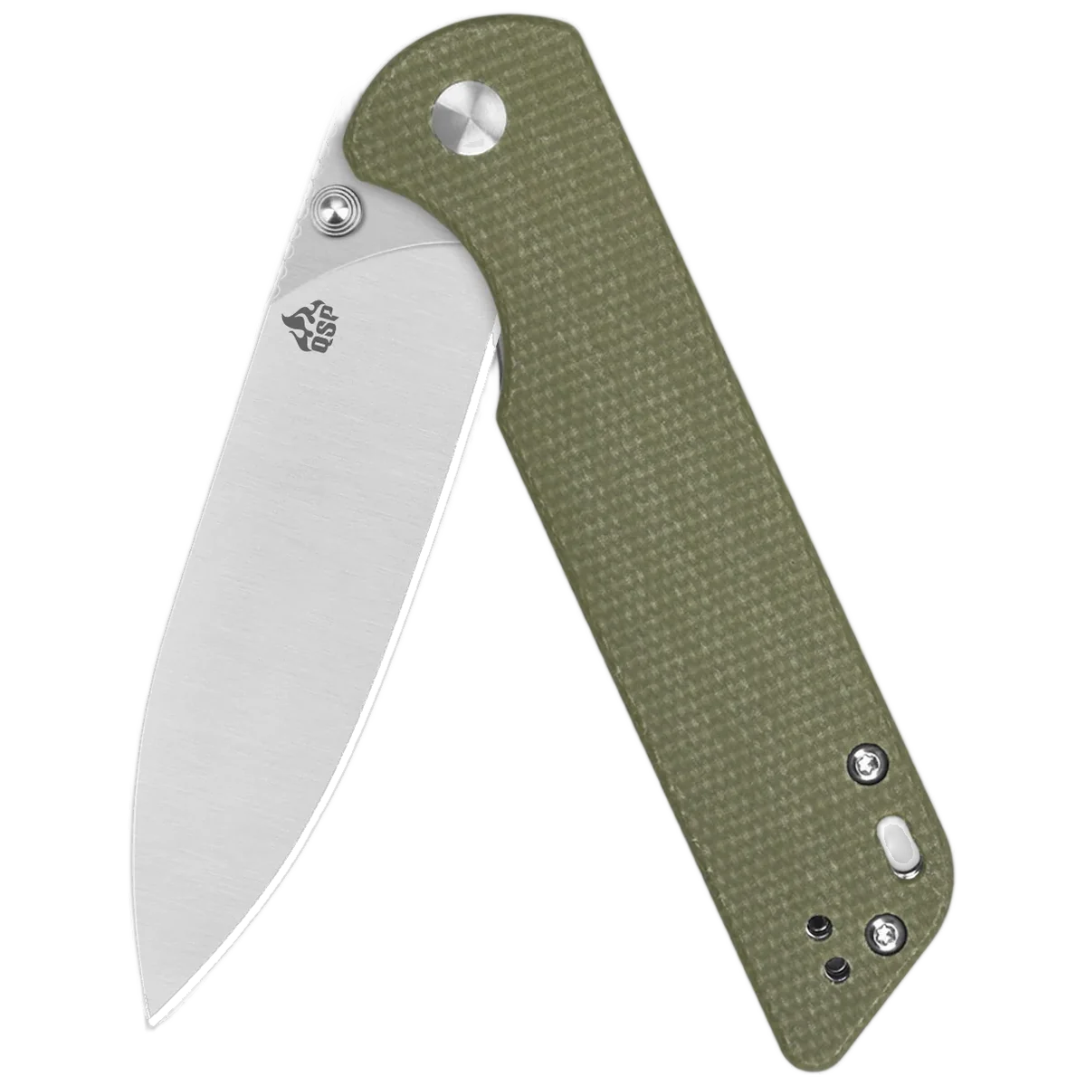 QSP Parrot V2 - Image 3
