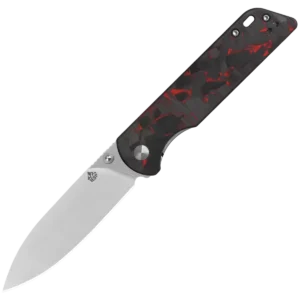Alternative view of QSP Parrot V2