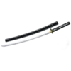 CAS Hanwei PSK Elite Katana