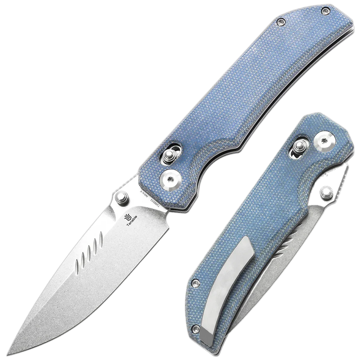 Tenable Eaglestrike - Image 2
