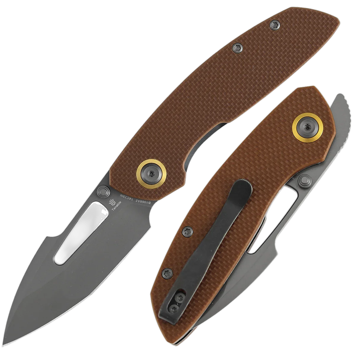 Tenable Link - Image 2