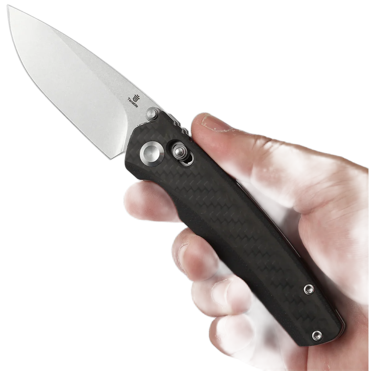 Tenable Raven - Image 9