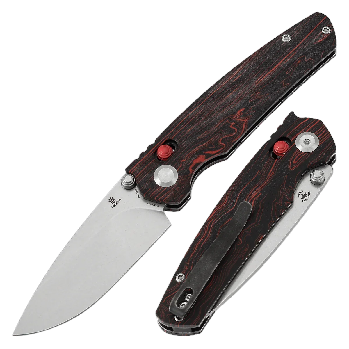 Tenable Raven - Image 2
