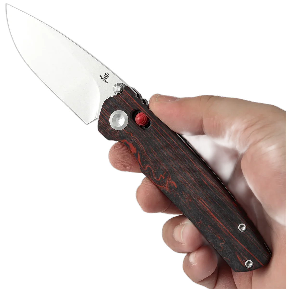 Tenable Raven - Image 9