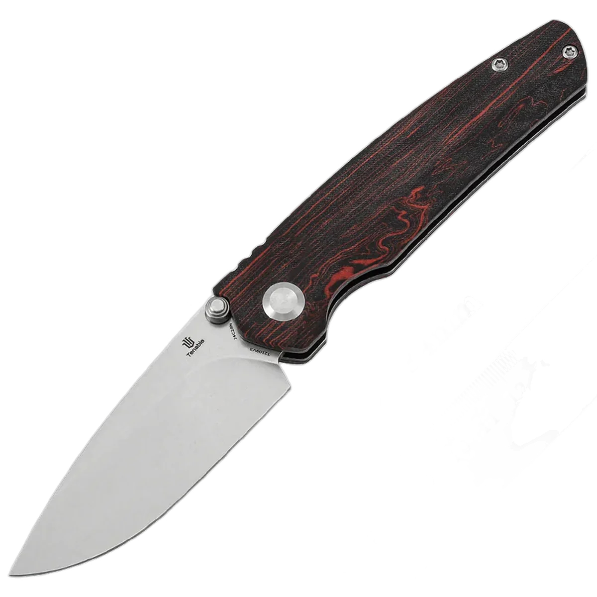 Tenable Raven - Image 10