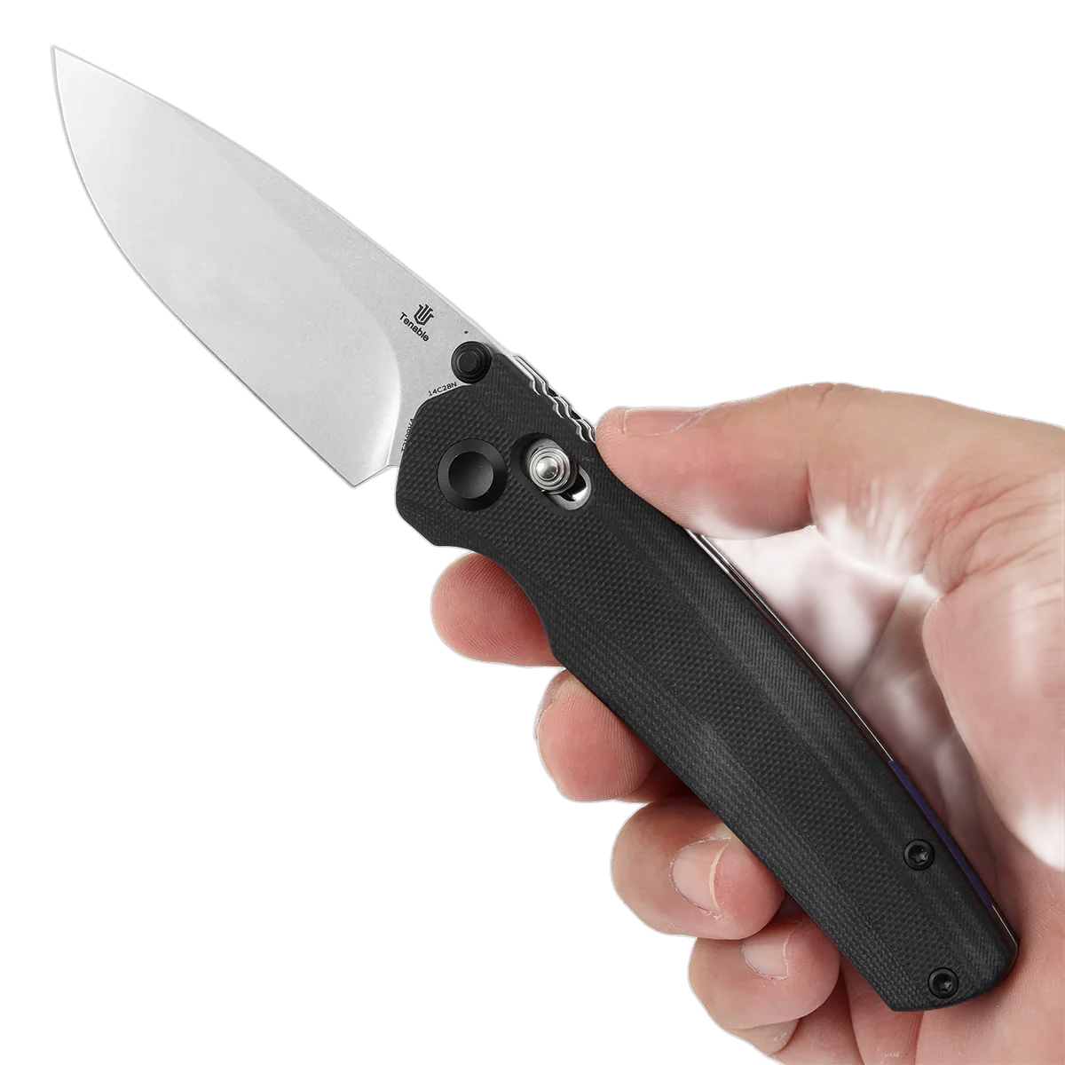 Tenable Raven - Image 9