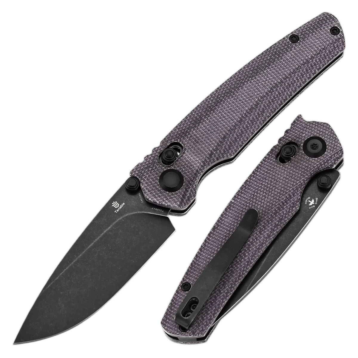 Tenable Raven - Image 2