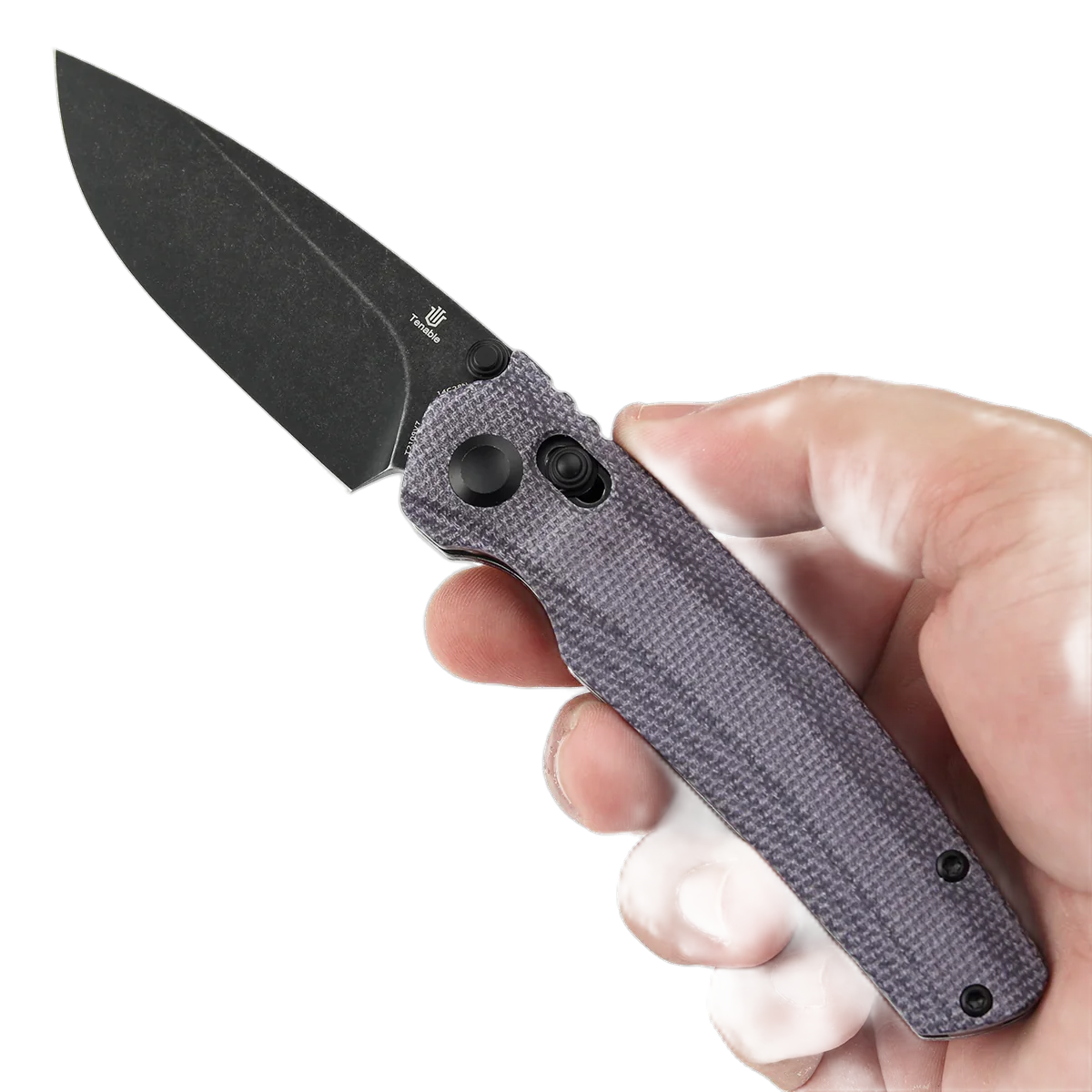 Tenable Raven - Image 9