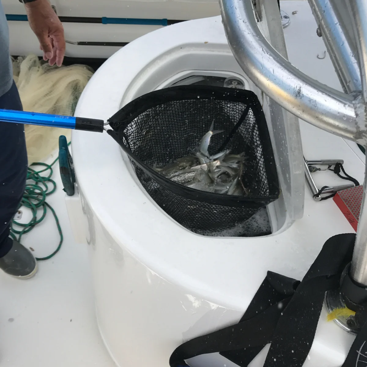 Cuda 29" Baitwell Net - Image 9