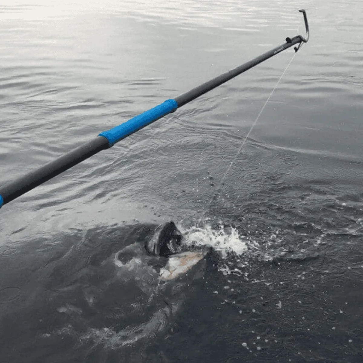Cuda Carbon Fiber Gaff - 8ft w/4" Hook - Image 2