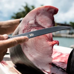 Alternative view of Cuda Professional Knives - 7" Semi Flex Filet