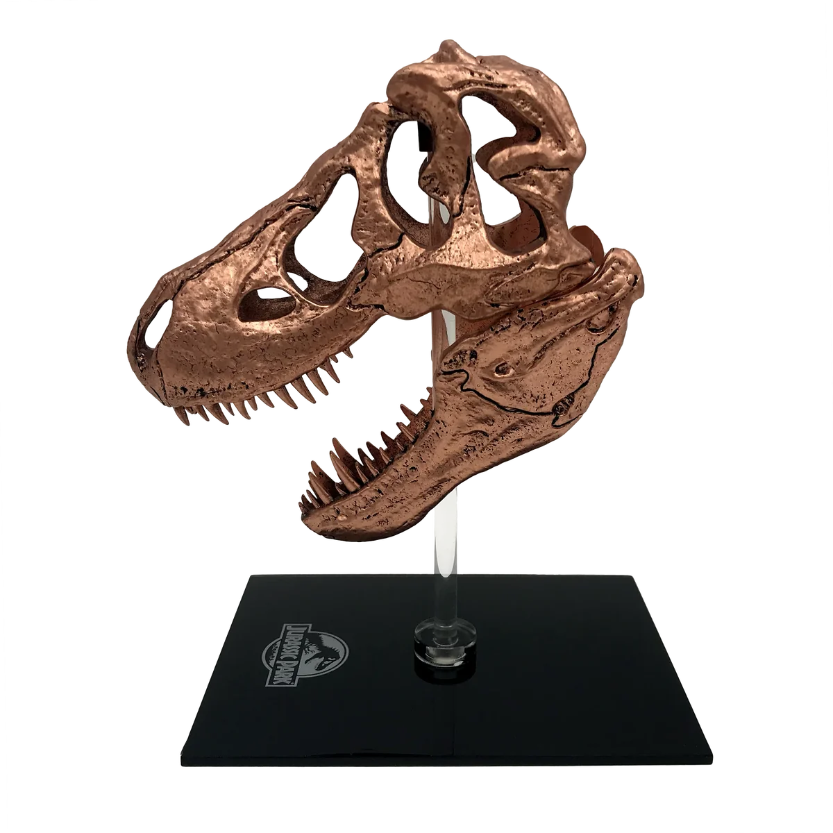 Factory Entertainment Jurassic Park - T-Rex Skull Scaled Prop Replica - Image 2